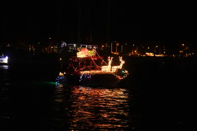 DSC_2514 (Large).JPG